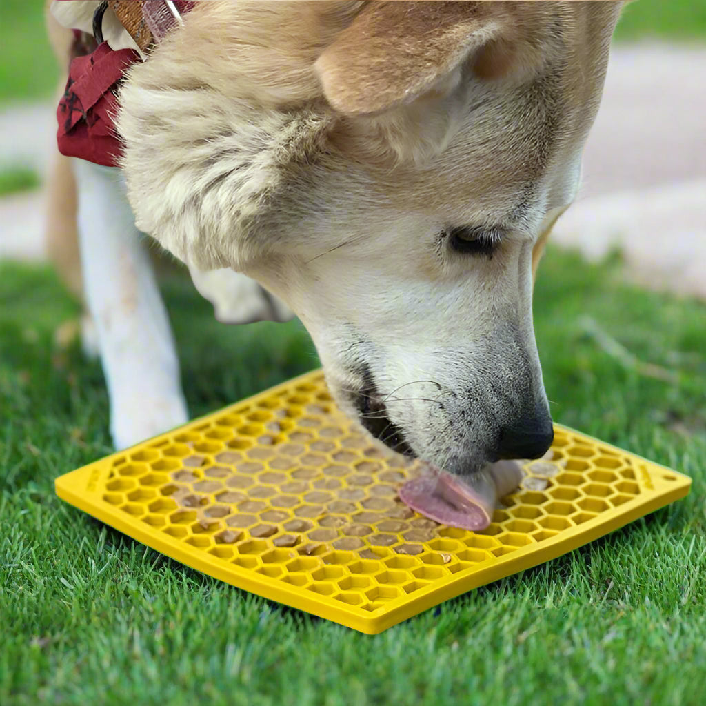 Licking Mat Colmeia 🐝🍯💛