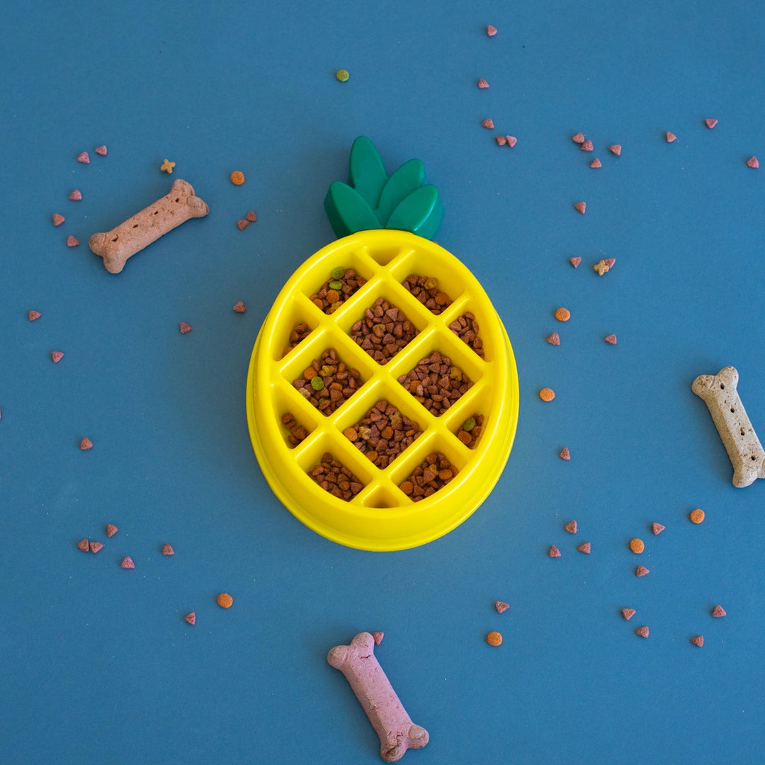 Slow Feeder Ananás 🍍