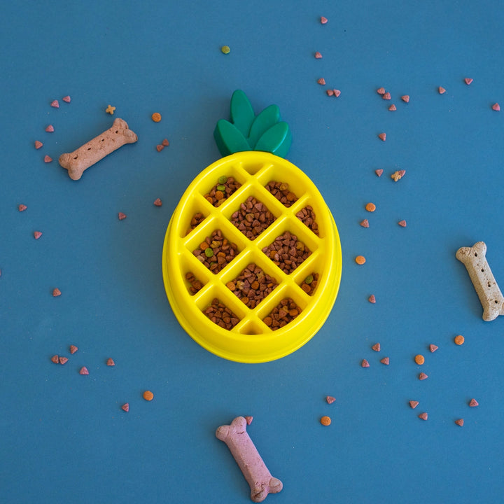 Slow Feeder Ananás 🍍