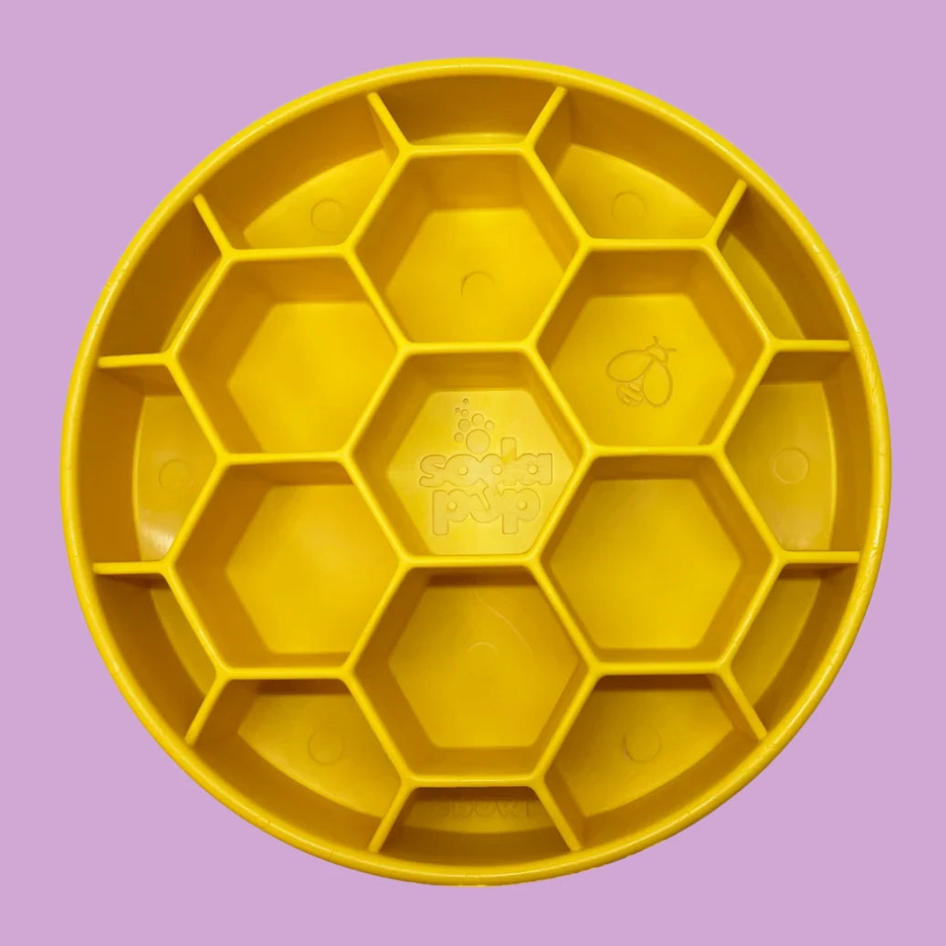 Slow Feeder Colmeia 🍯🐝