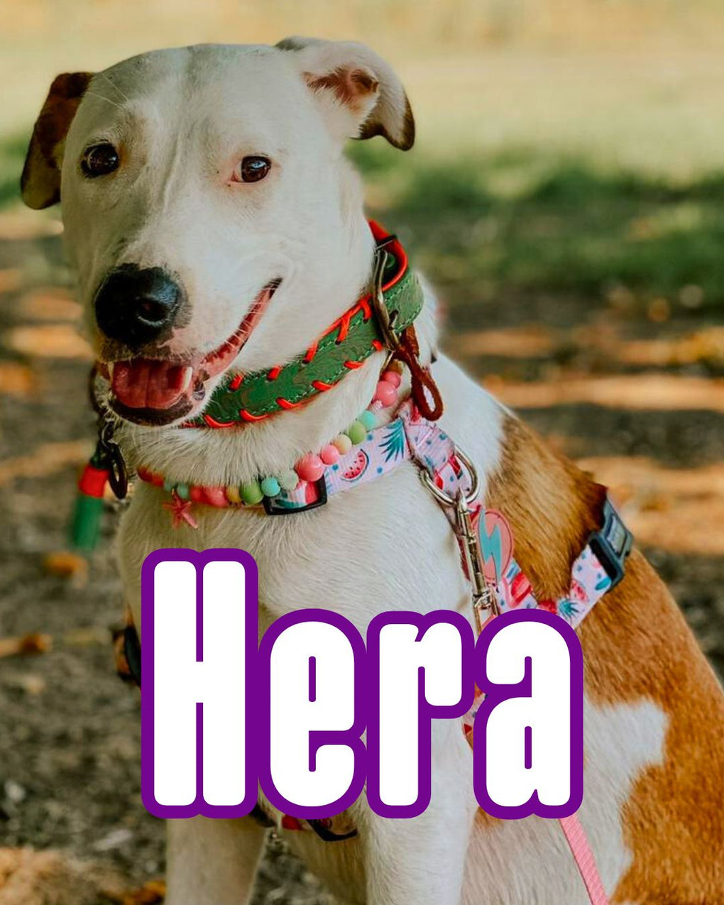 HERA10