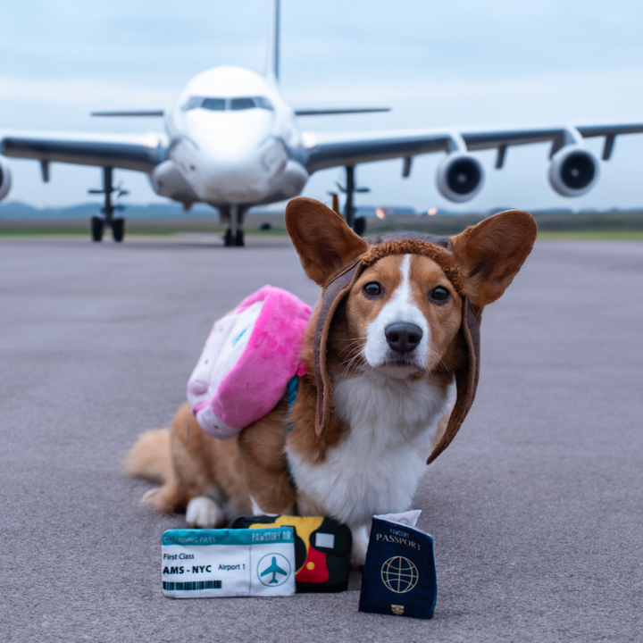 Brinquedo Snuffles Mochila 🎒✈️