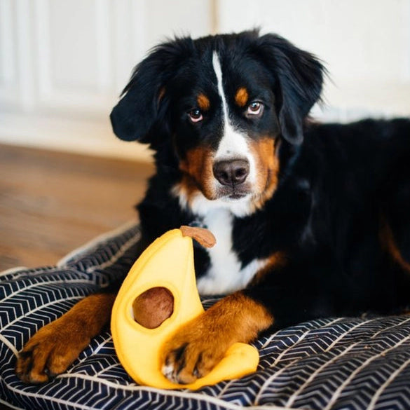 Brinquedo Toca Going Bananas 🍌🐵