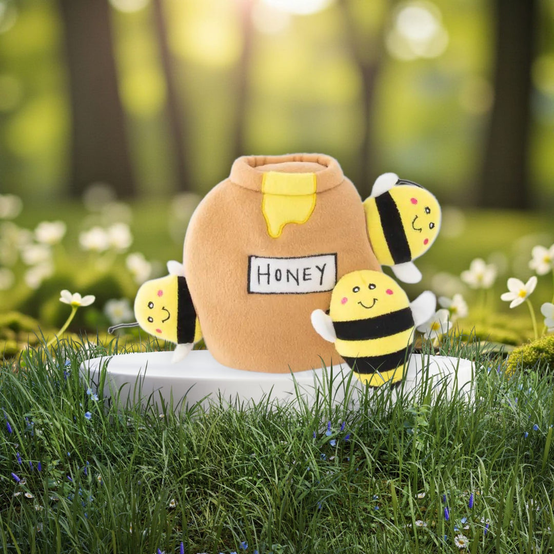 Brinquedo Toca Oh, Honey 🐝🍯