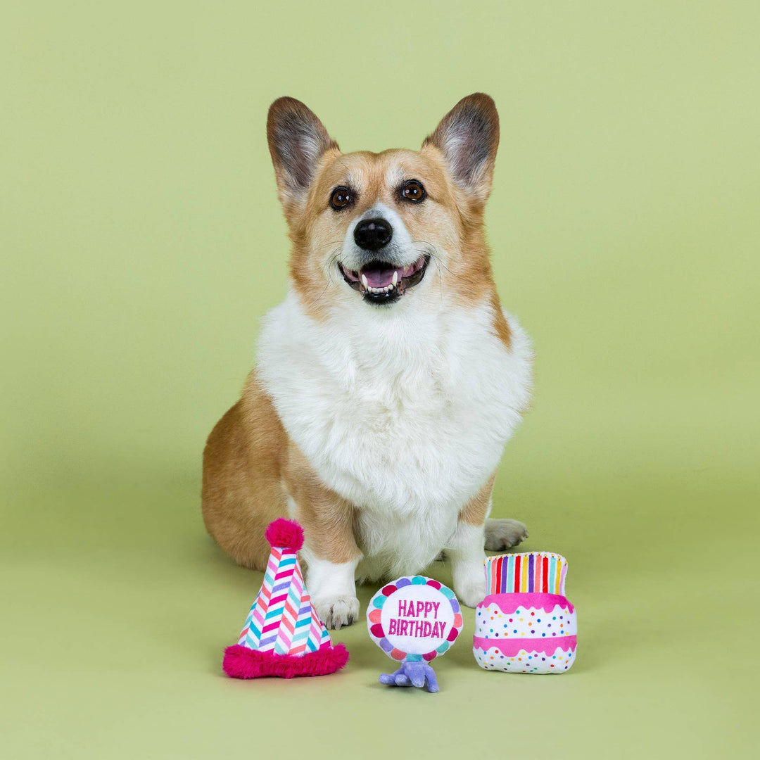 CAN I GET A WOOFWOOF? 🎂(conjunto mini peluches aniversário)