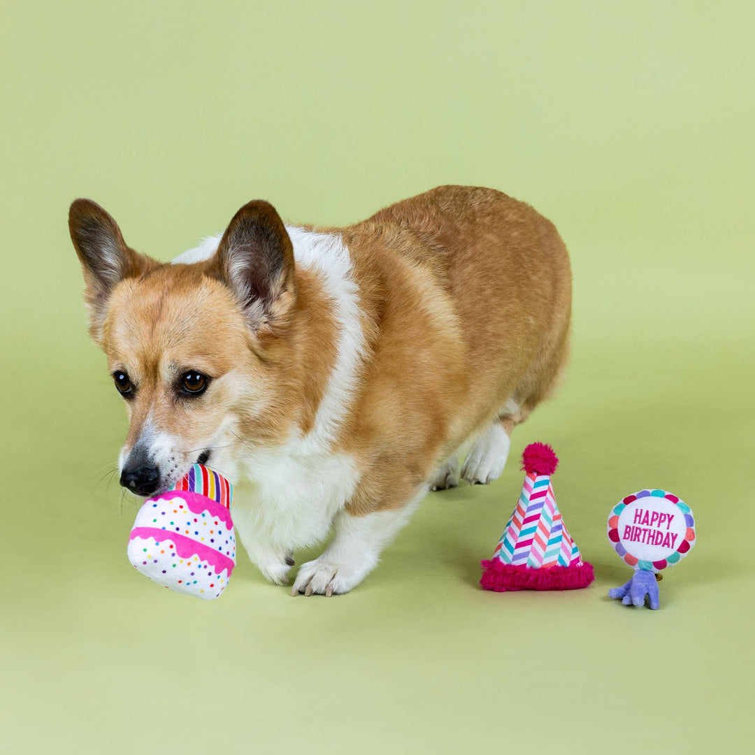 CAN I GET A WOOFWOOF? 🎂(conjunto mini peluches aniversário)