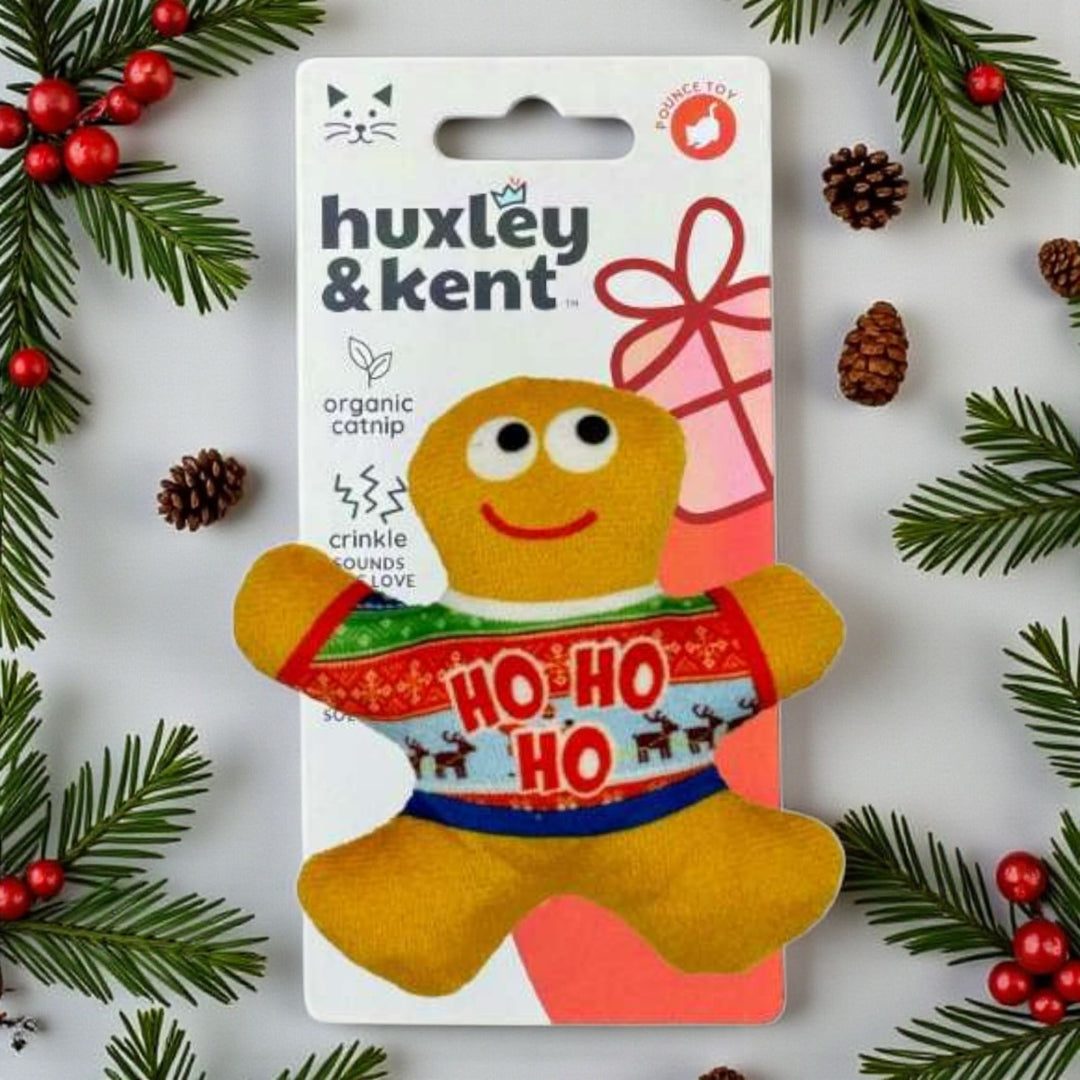 Brinquedo para gatos 🐈- Ugly Sweater Ginger Bread 💚❄