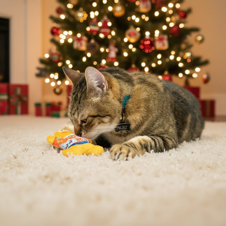 Brinquedo para gatos 🐈- Ugly Sweater Ginger Bread 💚❄