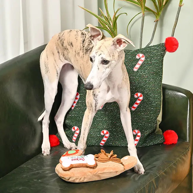 Sniff Board Happy Woofmas 🍪🐶