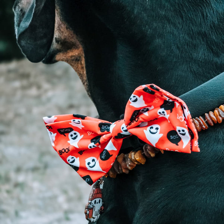 Laços de coleira Ghostbusters 👻👻