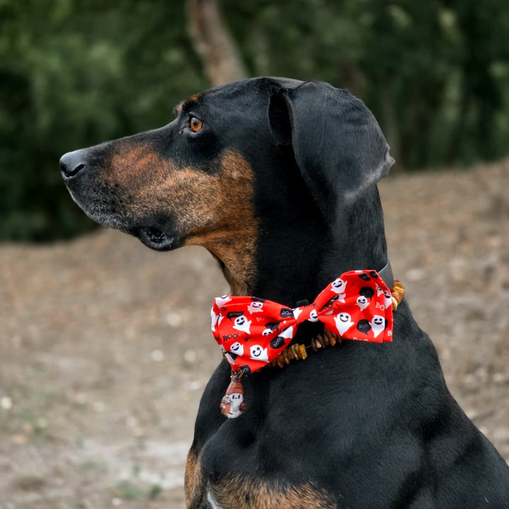 Laços de coleira Ghostbusters 👻👻