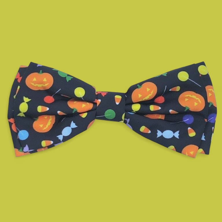 Laços coleira Trick or Treat 🍬🍬