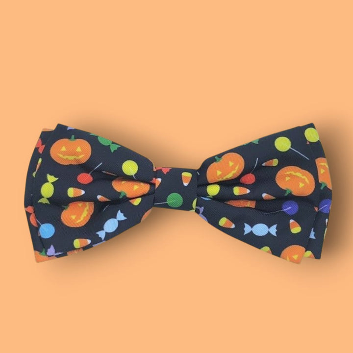 Laços coleira Trick or Treat 🍬🍬