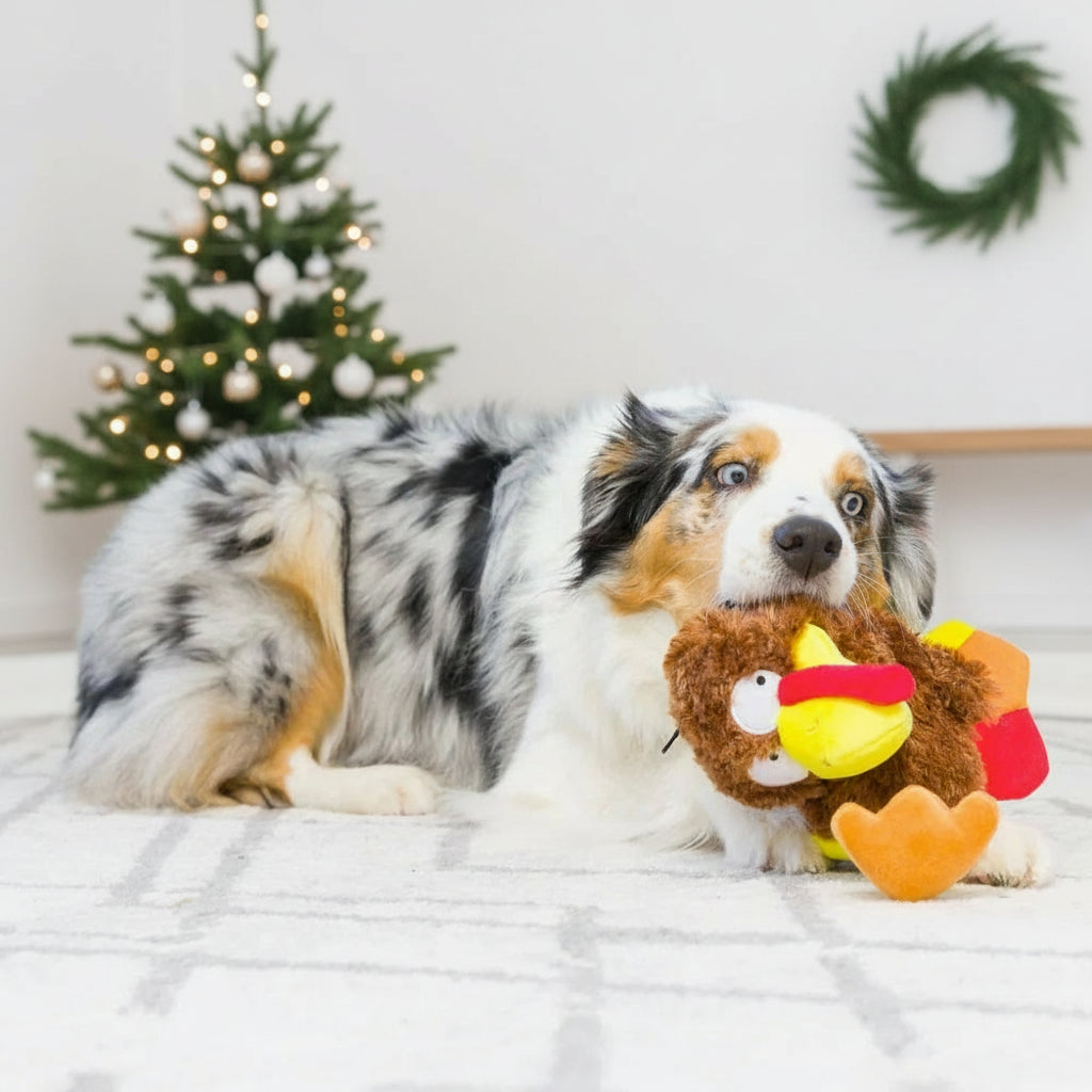 Peluche Slappie Peru 🦃  (L)