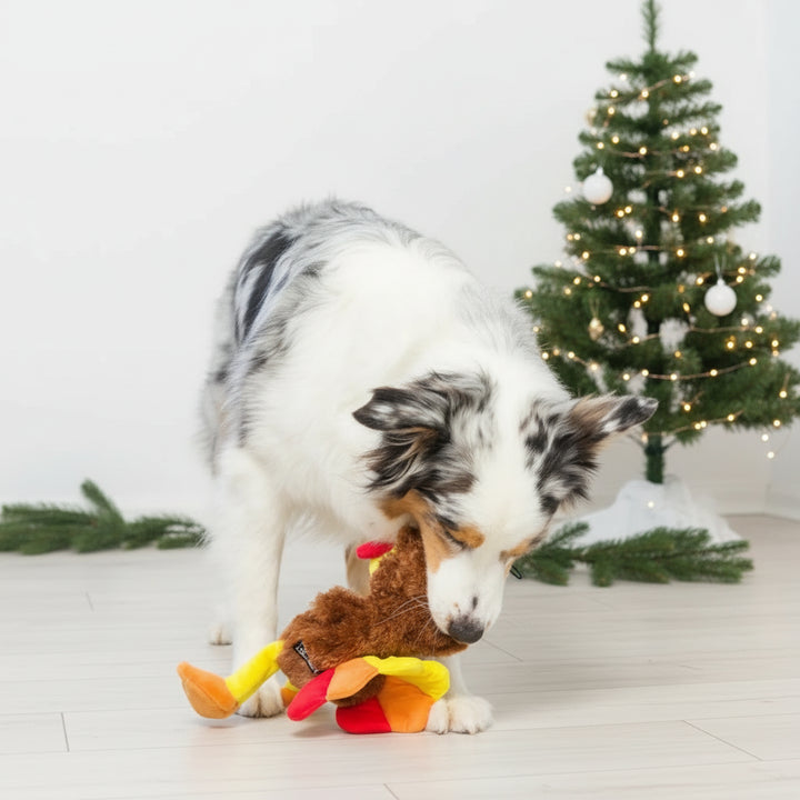 Peluche Slappie Peru 🦃  (L)