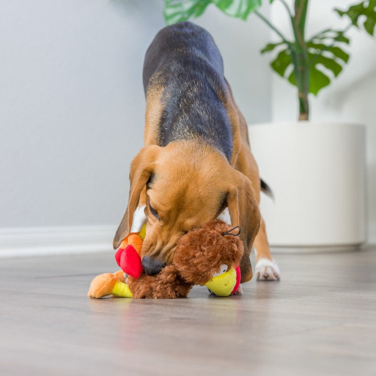 Peluche Slappie Peru 🦃  (S/M)