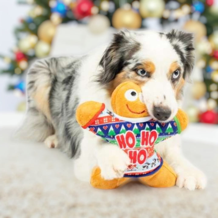 Peluche Ugly Sweater Gingerbread (L) 💚🧣