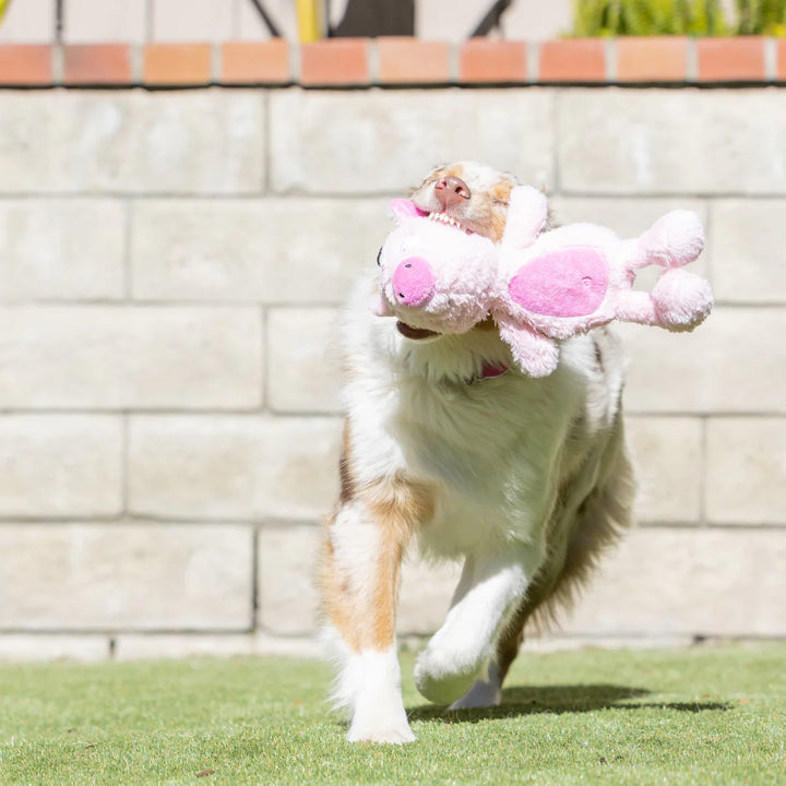 Peluche Slappie Oh My Piggie L🐷🐽