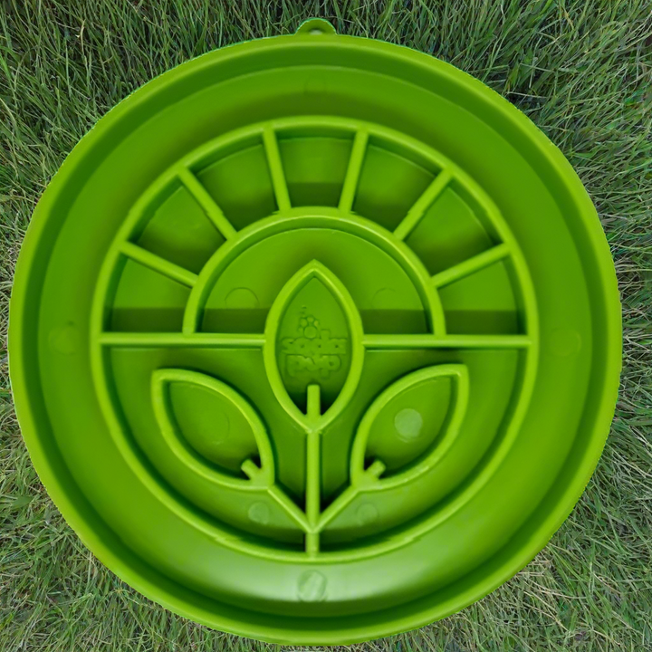 Slow Feeder Raso Folha 🌿