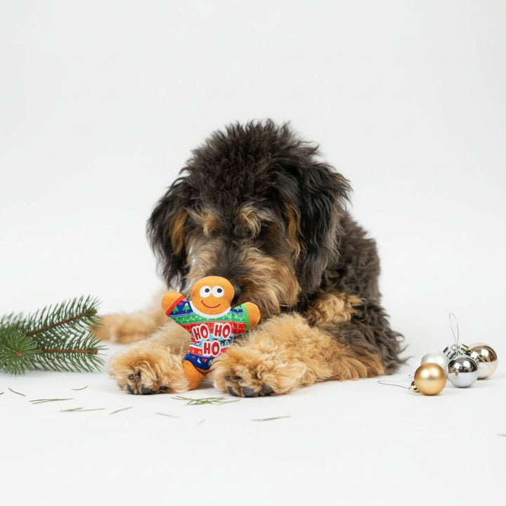 Peluches Tiny Tuff Ugly Sweater Pawty ❄