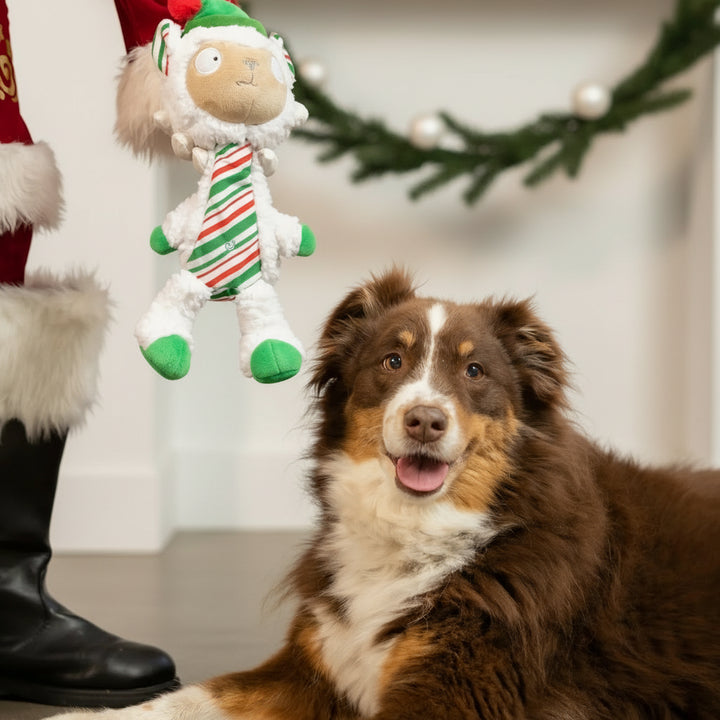 Peluche Slappie Xmas No Drama Llama (L) 🦙🎄