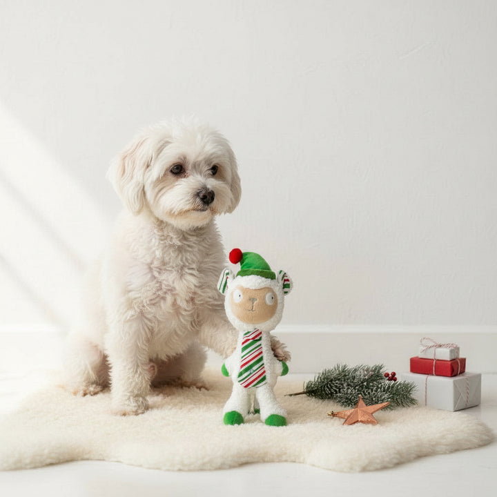 Peluche Slappie Xmas No Drama Llama (S/M) 🦙🎄