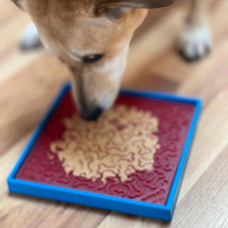 Bandeja Hold'Em (para slow feeders e licking mats)