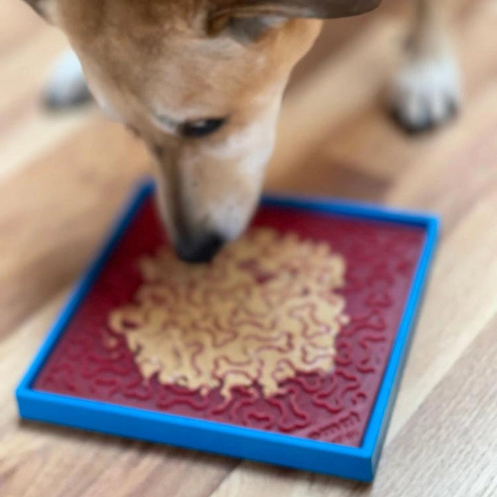 Bandeja Hold'Em (para slow feeders e licking mats)