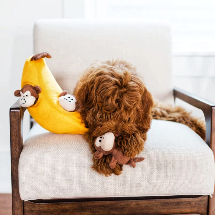 Brinquedo Toca Going Bananas 🍌🐵