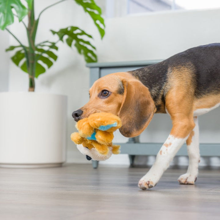 Peluche Slappie Esquilo 🐿️🌰  (L)