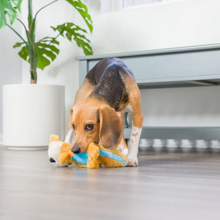 Peluche Slappie Esquilo 🐿️🌰  (L)