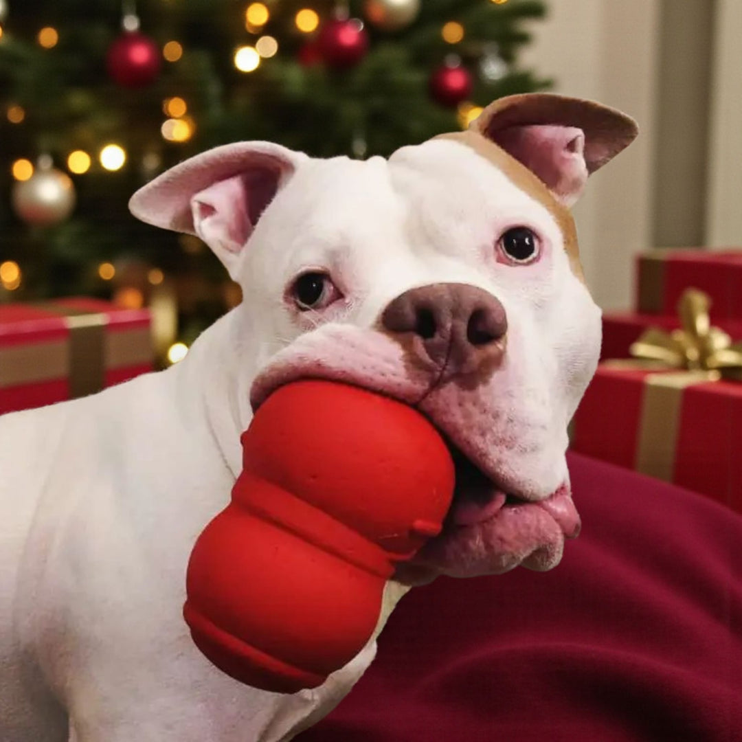 Brinquedo para rechear Sweet Snowman ⛄❄