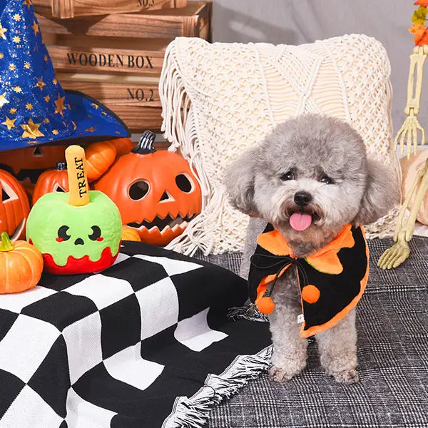 Peluche Trick or Treat 🍬🎃